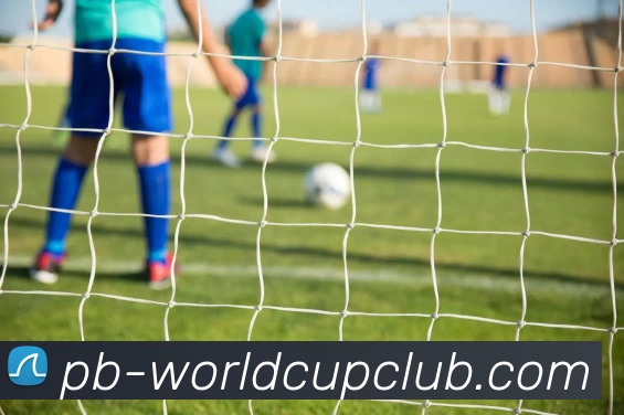 世界杯体育投注平台生态图